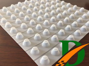 南通高分子防護排 蓄 水板廠家批發 山東達興新材料