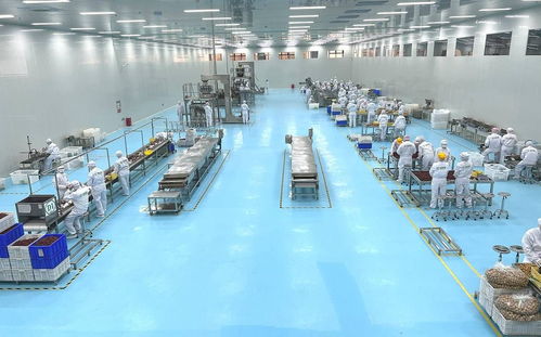 春節堅果零食卷出新高度,新疆大堅果疆果果靠 大 出圈